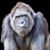 Robert Byrns's profile image