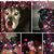Anitra Golini's profile image