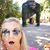 Mandi Elkin's profile image