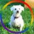 Ericka Shepard Myers's profile image