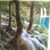 Sallee Jarvis's profile image