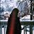 Zahra A. Alsanona's profile image