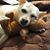 Carlene Reed Tackett's profile image
