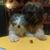 Peggy O'Neill Drabinski's profile image
