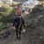 Gale Rudolph's profile image