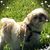 Linda Kotowicz's profile image