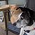 Amanda Daugherty's profile image