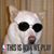 Billy Yoon's profile image