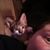 Crystal Lueder's profile image
