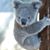 Hana Dahl O'Neill's profile image