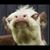 Luis Rosales's profile image