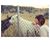 Angel Gephart's profile image