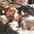 Judith Prather's profile image