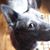 Lori Murray Krakora's profile image