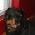 Ranee Ogden's profile image