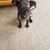 Debra Gossett's profile image