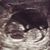 Sheri Johnson-Curtis's profile image