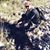 Micah Manuel's profile image