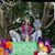 Sherah Virdure's profile image