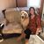 Colette Palmerio's profile image