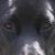 Karen H.'s profile image