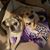 Miranda Jones's profile image