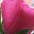 Keyonda Paul's profile image