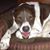 Tom Soper's profile image
