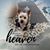 Janis Carducci Bottorff's profile image