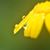 AF Admin P R's profile image