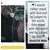 Linda Kaye's profile image