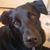 Delilah Paxton-carder's profile image