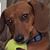 Dawn Staton's profile image