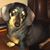 Kathleen Friesenhahn-Davis's profile image