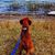 Humberto Zepeda's profile image