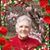 Lynn Walters MacDougall's profile image