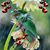 Melynda J Thomas's profile image