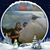Tracy Trist's profile image