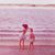 Sharon Hursey Hansen's profile image