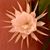 Christina Boyce's profile image