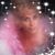 Joyce Goblirsch's profile image