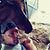 Clay Walker's profile image