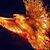 Sergiu Gira's profile image
