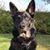 Donna Piotrowski's profile image