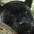 David Martinez's profile image