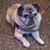 Don Sarp's profile image