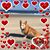 Tracy Dorman's profile image