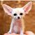 Jenn Babin's profile image
