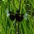 Brian Steinker's profile image