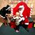 Christina Dandy Gottfried's profile image